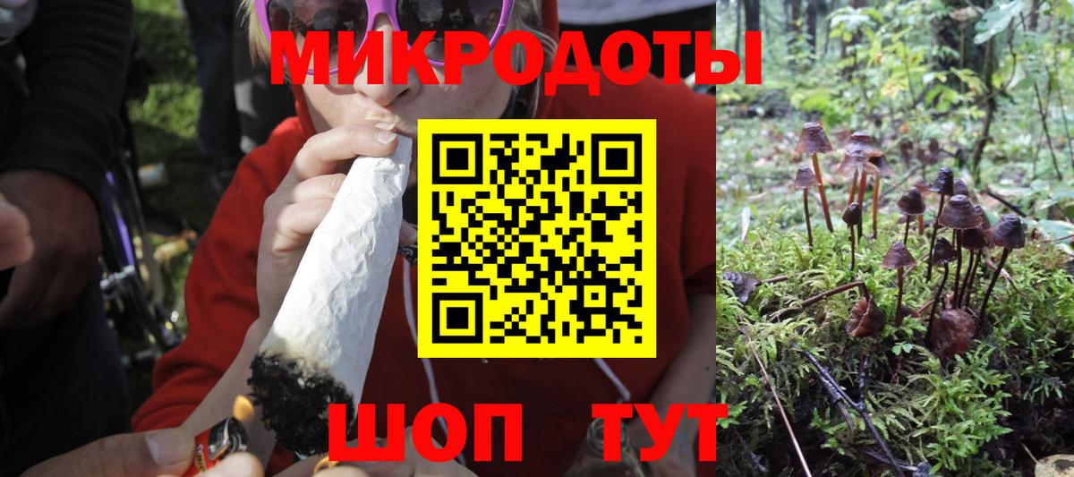 Псилоцибиновые грибы Psilocybe  Псилоцибиновые грибы прущие грибы  Вход с VPN  наркота  Малгобек 