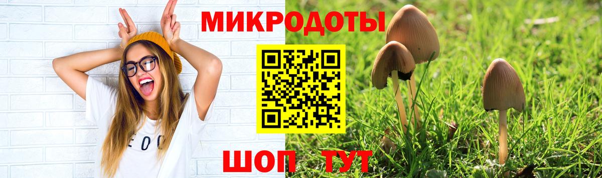 Галлюциногенные грибы GOLDEN TEACHER Малгобек